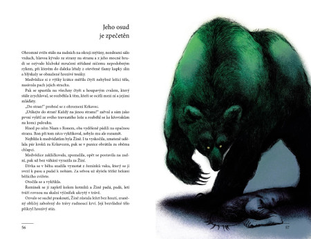 Ukázka z knihy ŠAMAN ZE ZEMĚ MAMUTŮ